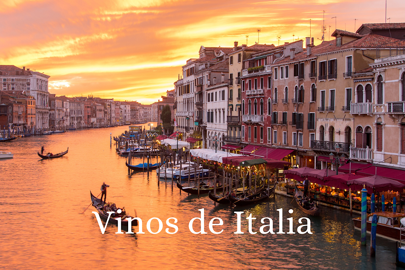 10 cosas que debes saber al probar vinos italianos