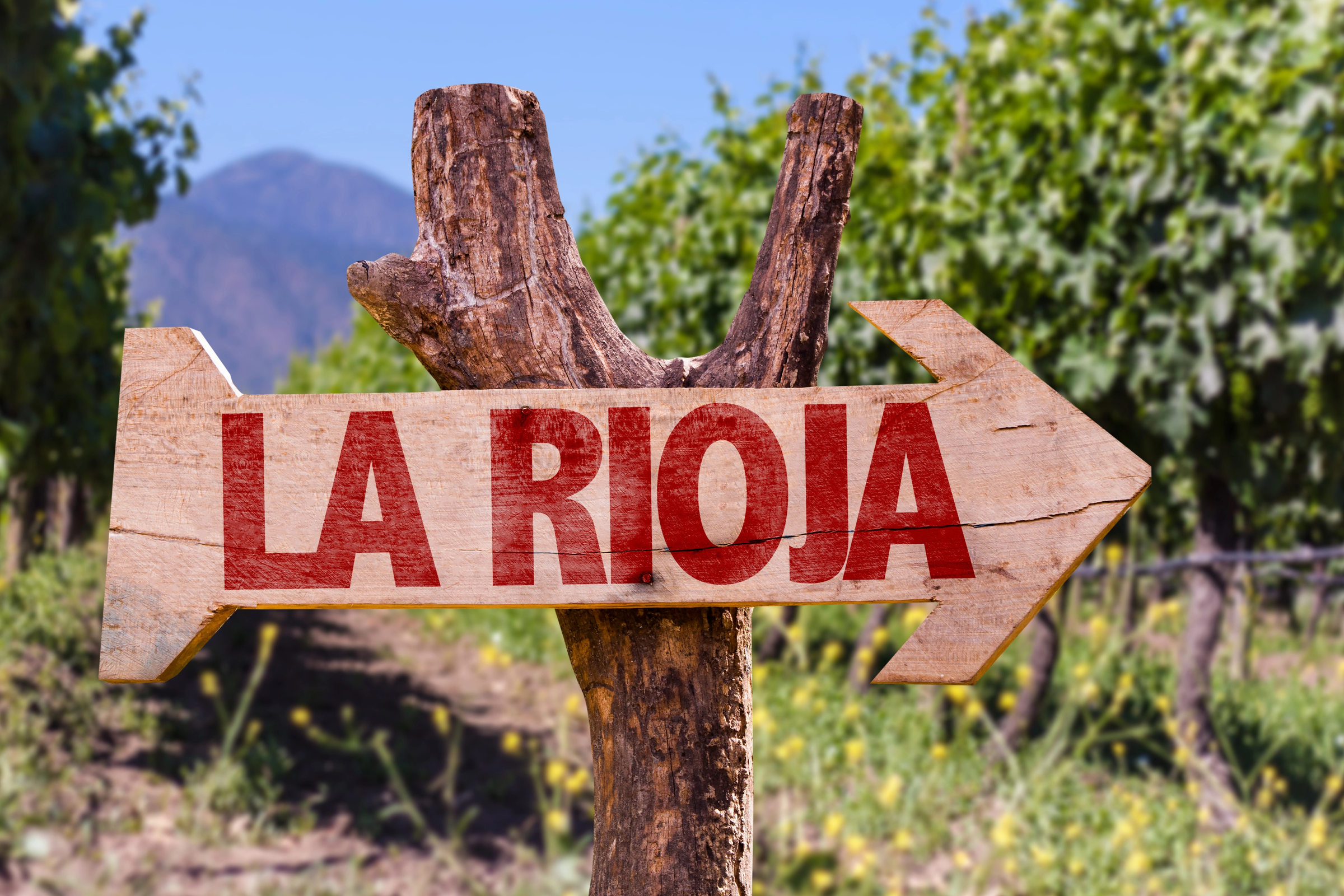 La región vinícola más famosa de España: La Rioja