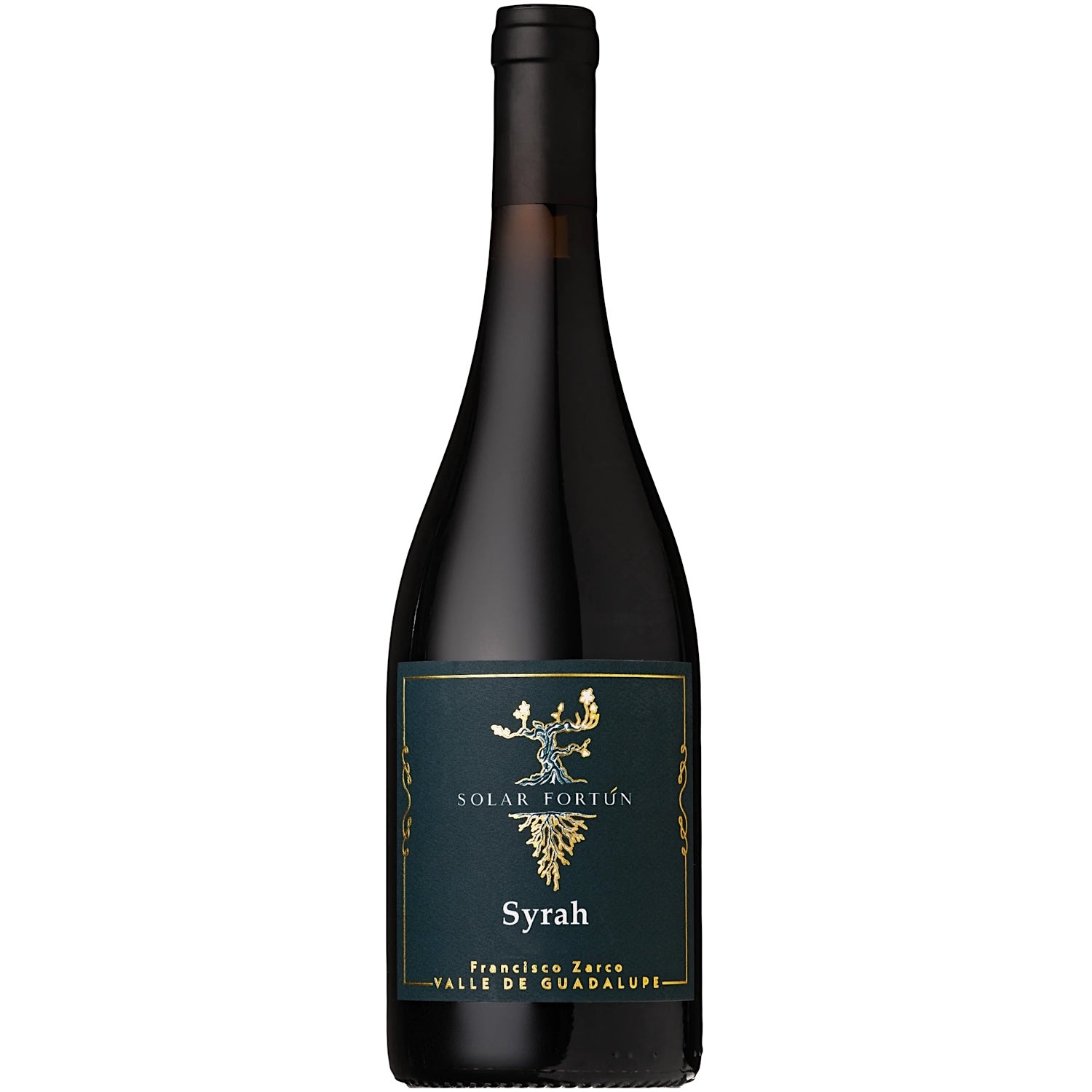 Solar Fortún Reserva Syrah [750ml]