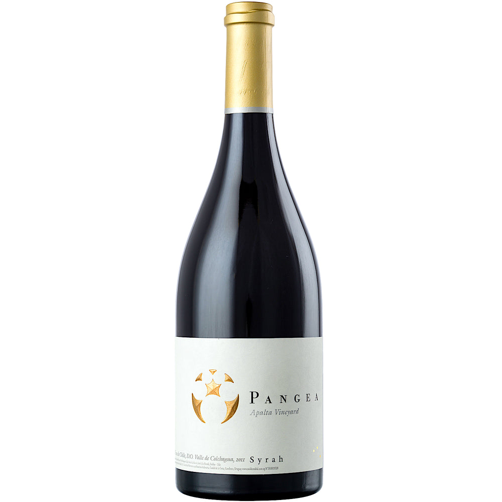 Ventisquero Pangea Syrah [750ml]